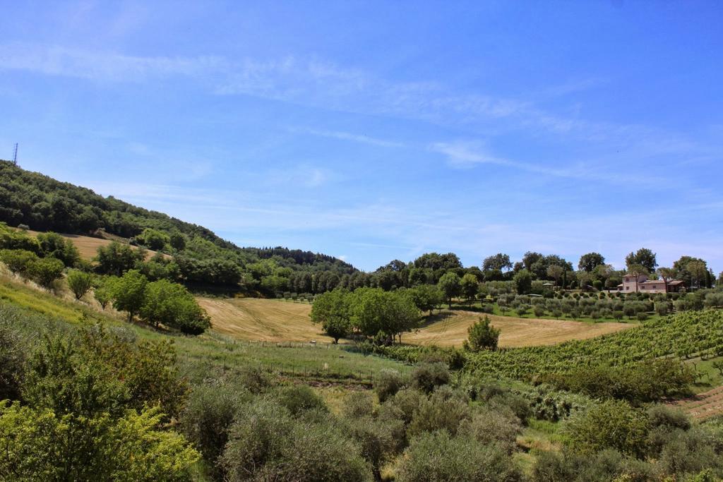 Villa Melagrana Fano Δωμάτιο φωτογραφία